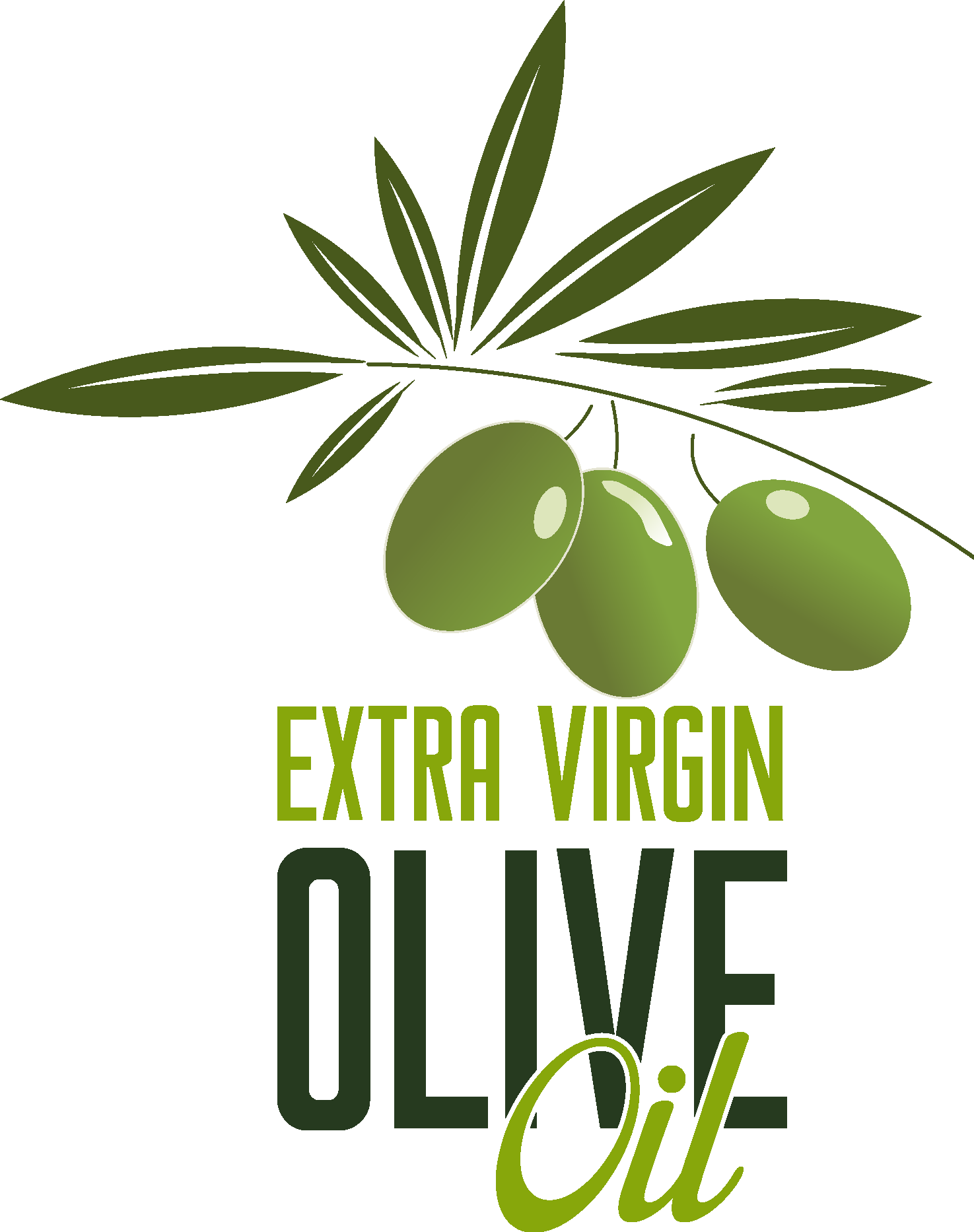 Olive Oil Simple Logo Vector Logo